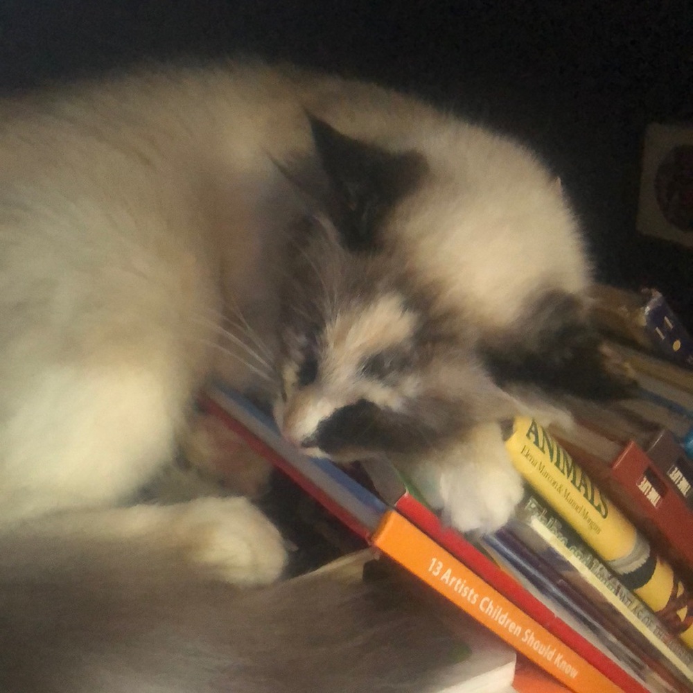 Meet your Posher, Erin